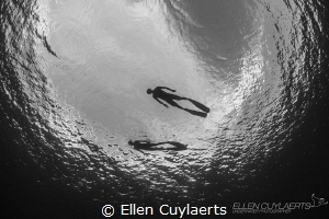 Happy #worldphotoday! It's my window to the world! by Ellen Cuylaerts 